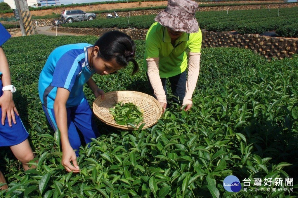茶鄉弓鞋小學畢業生