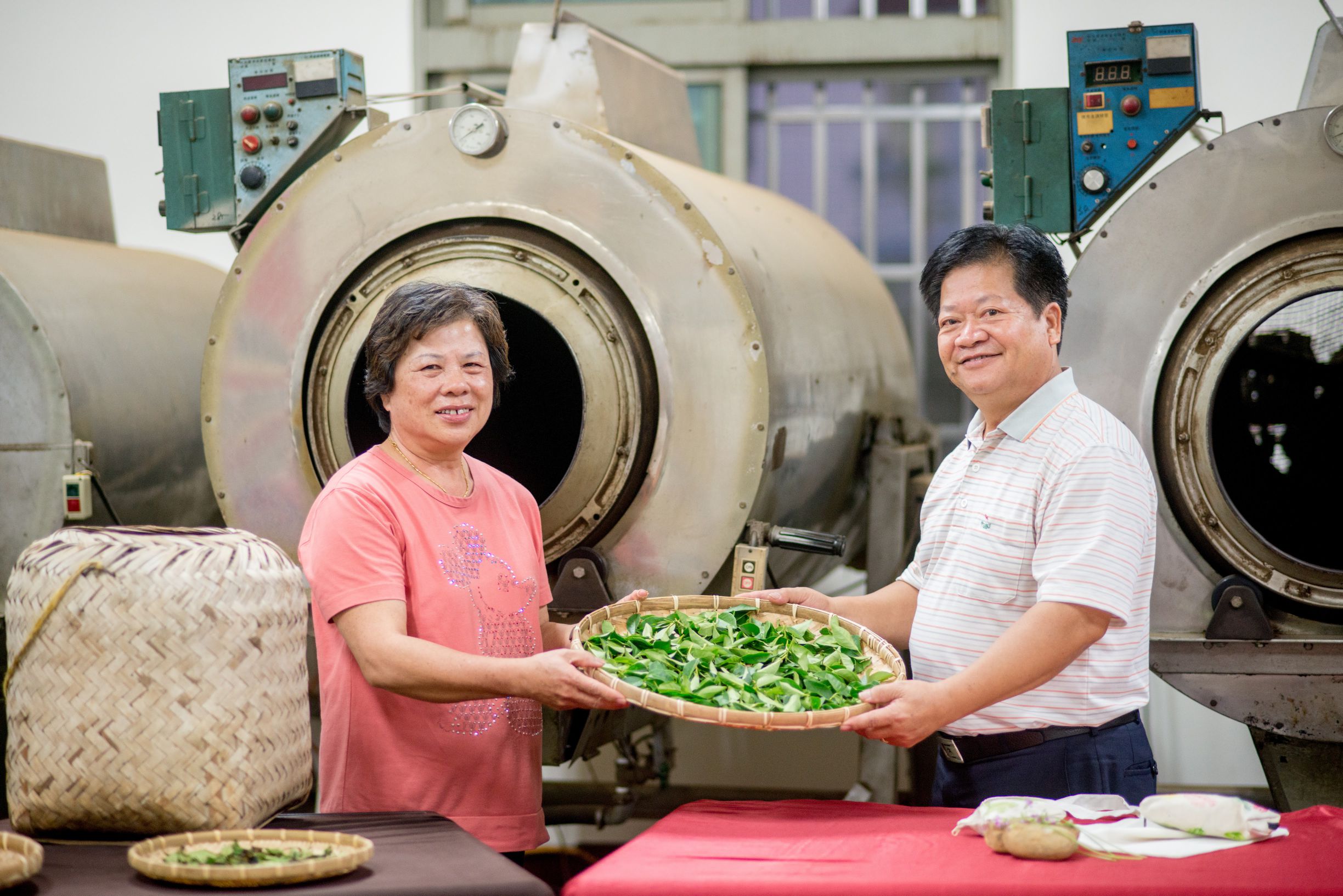 泉發製茶廠 五代傳承製茶職人與茶菁