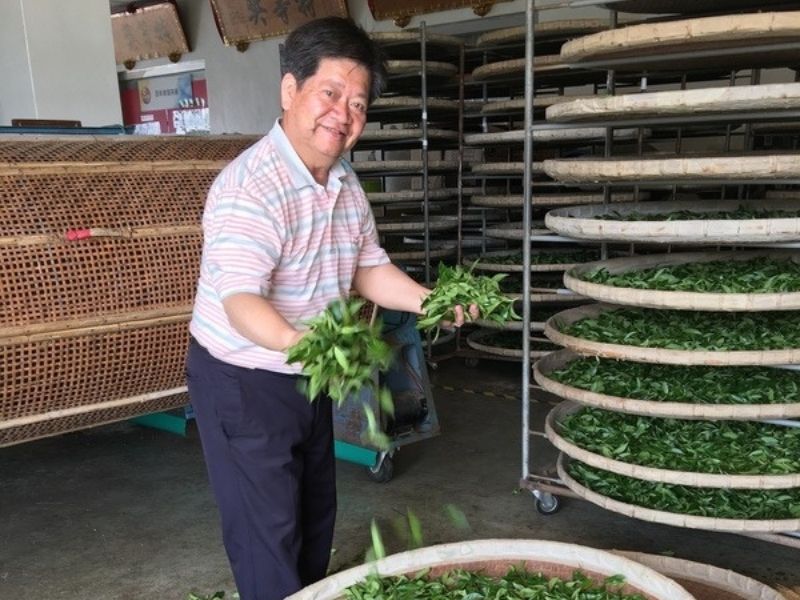 泉發製茶廠 製茶技術（3）