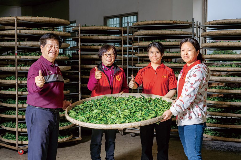 泉發研茶 薪傳百年製茶技藝