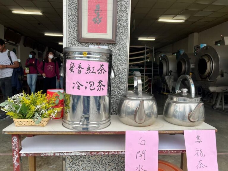 泉發製茶廠體驗－紅茶製作體驗（4）