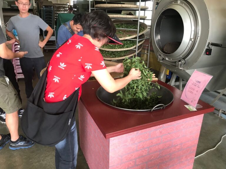 泉發製茶廠體驗－復古炒茶（1）