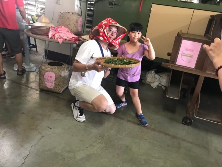 泉發製茶廠體驗－採茶變裝秀（3）