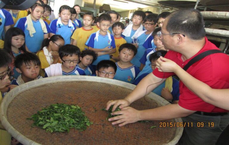 泉發製茶廠體驗－紅茶製作體驗（6）